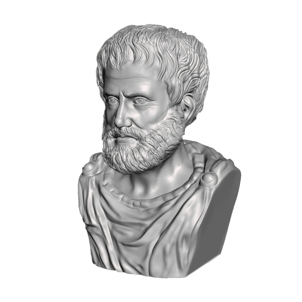 Custom 3D Bust Statue