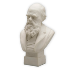 Custom 3D Bust Statue