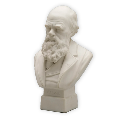 Custom 3D Bust Statue